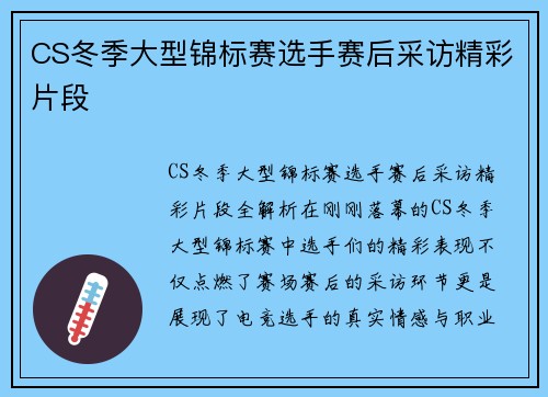 CS冬季大型锦标赛选手赛后采访精彩片段
