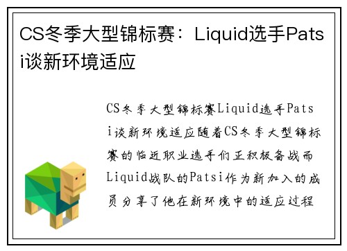 CS冬季大型锦标赛：Liquid选手Patsi谈新环境适应