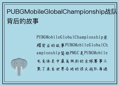 PUBGMobileGlobalChampionship战队背后的故事