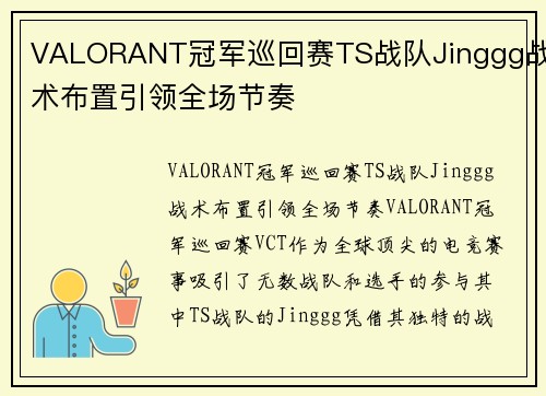 VALORANT冠军巡回赛TS战队Jinggg战术布置引领全场节奏