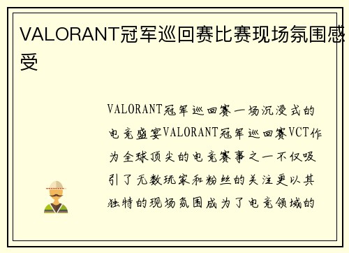 VALORANT冠军巡回赛比赛现场氛围感受